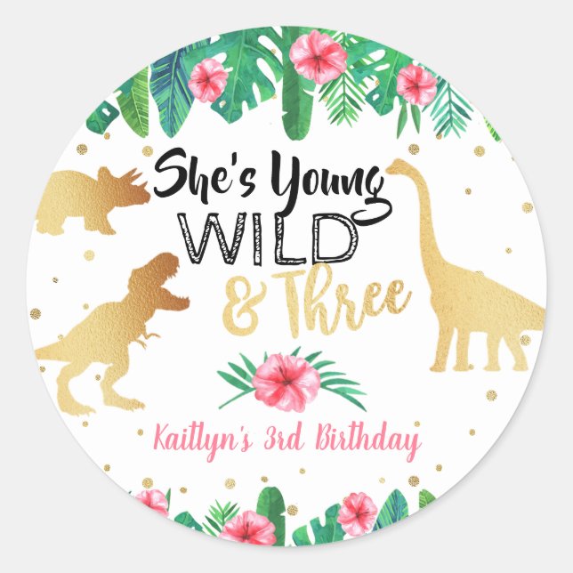 Young Wild & Three Dinosaur Girls Dritter Geburtst Runder Aufkleber (Vorderseite)