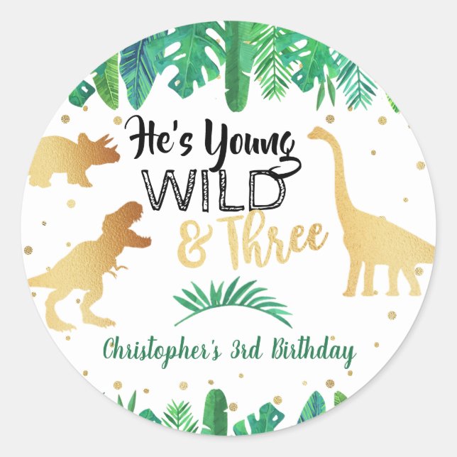 Young Wild & Three Dinosaurier Boys Dritter Geburt Runder Aufkleber (Vorderseite)