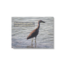 Young Yellow Crowning Heron Inspiration Zitat