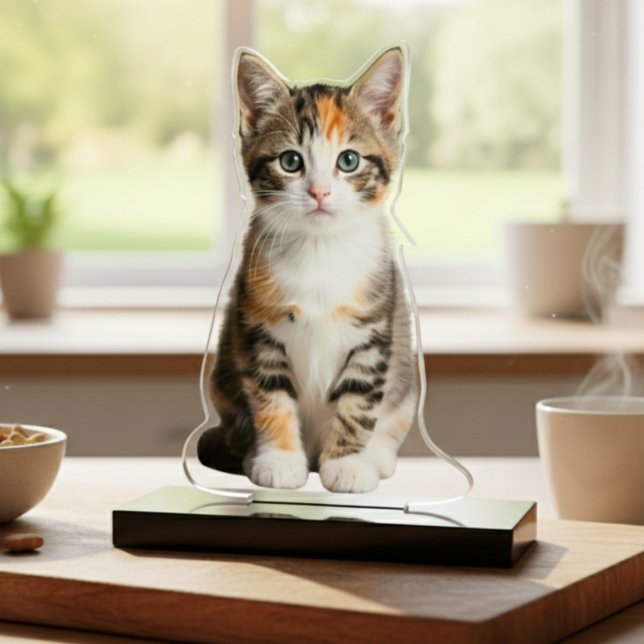 Your Kitten Photo Acrylic Cut Out Statue Freistehende Fotoskulptur (Your Kitten Photo Acrylic Cut Out Statue)