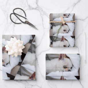 Your pet dog puppy custom photo chihuahua pattern geschenkpapier set