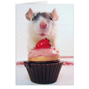 Yous aime une sucrerie ?