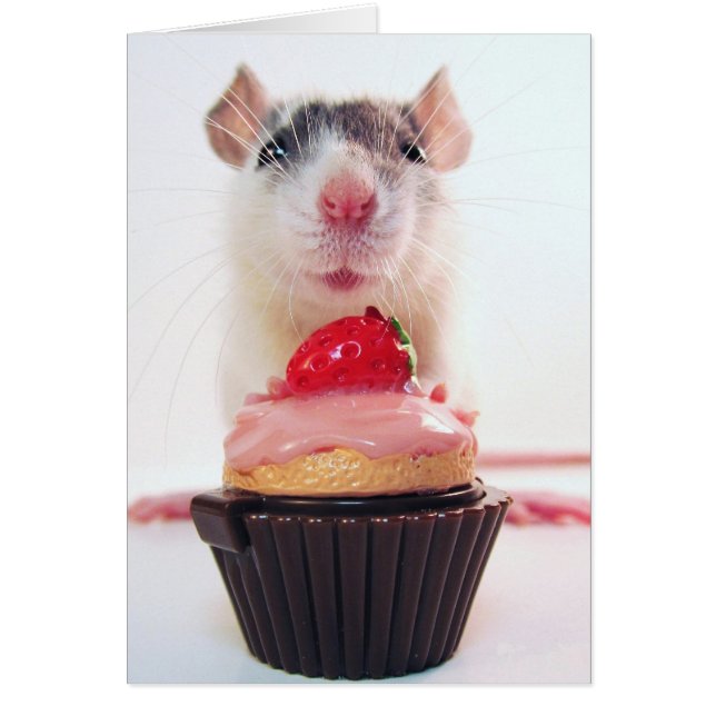 Yous aime une sucrerie ? (Devant)