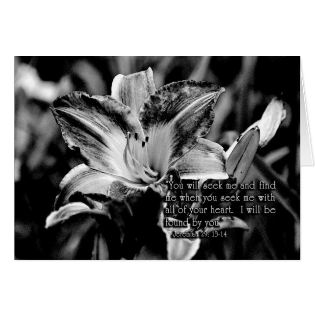 YouwillseekmeandfindmeZazzle (Devant Horizontal)