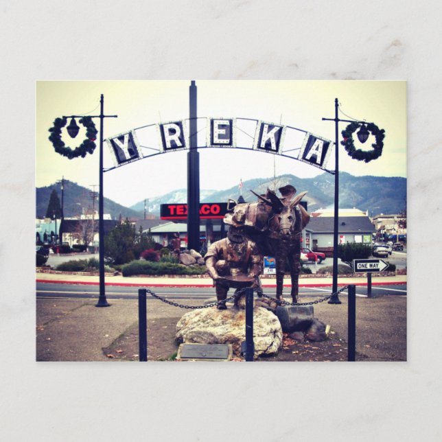Yreka Miner Statue Postkarte (Vorderseite)