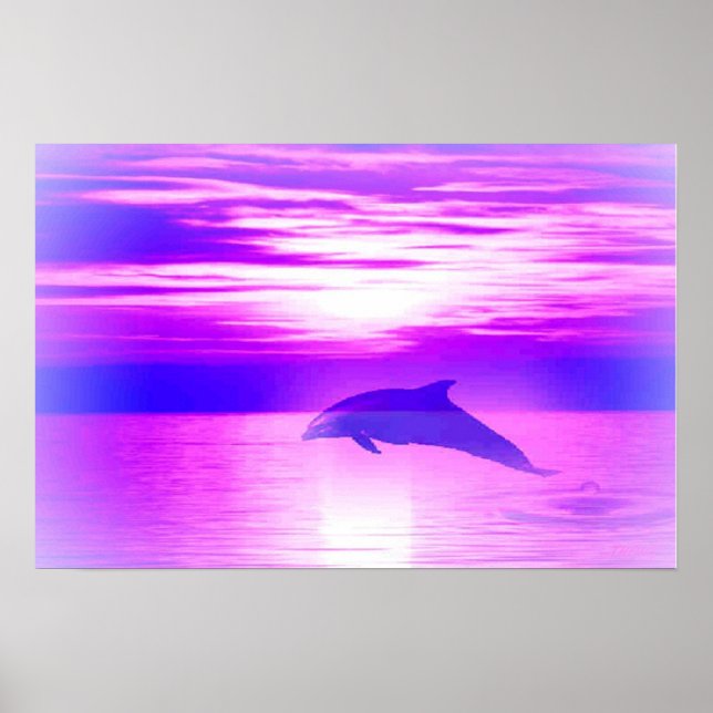 Ysundolphin Poster (Vorne)