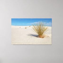 Yucca auf weißem Sand Leinwanddruck