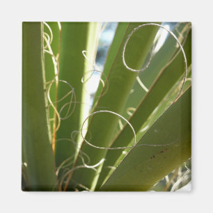 Yucca-Blätter Grüne Naturfotografie Magnet