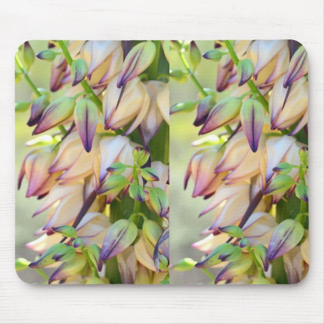 Yucca-Blume-Mousepad Mousepad (Vorne)