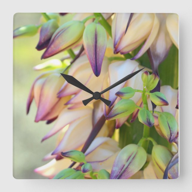 Yucca-Blume Quadratische Wanduhr (Vorderseite)