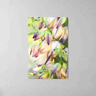 Yucca-Blumen wickelten Leinwand ein