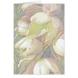 Yucca-Blüte in farbigem Bleistift