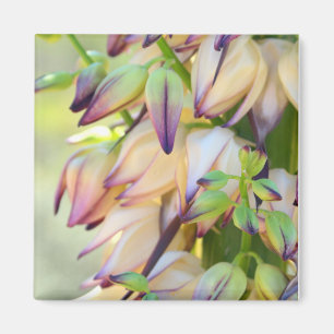 yucca flowers magnet