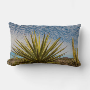 Yucca in der Wüste, Mexiko Lendenkissen