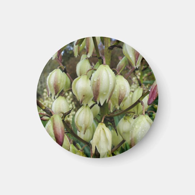 Yucca Pflanze Magnet (Vorne)