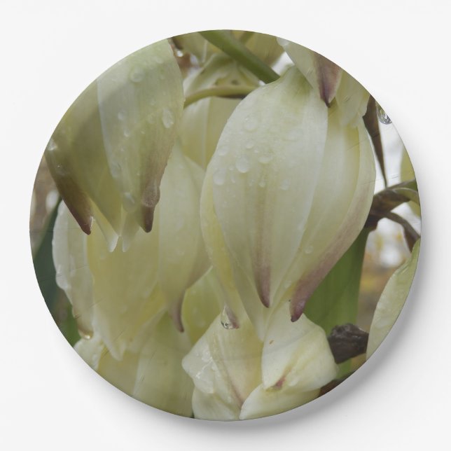 Yucca-Pflanze Pappteller (Vorderseite)