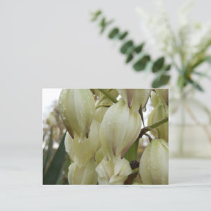 Yucca-Pflanze Postkarte