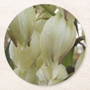 Yucca-Pflanze Runder Pappuntersetzer