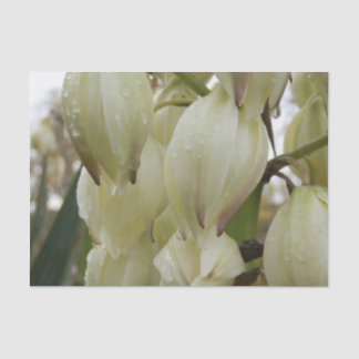 Yucca-Pflanze Seidenpapier