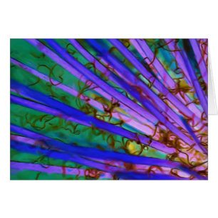 Yucca psychédélique inversé