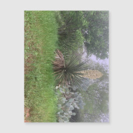Yucca Scene Magnet (Landschaft)