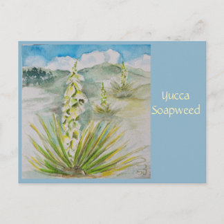 Yucca Soapweed Postkarte