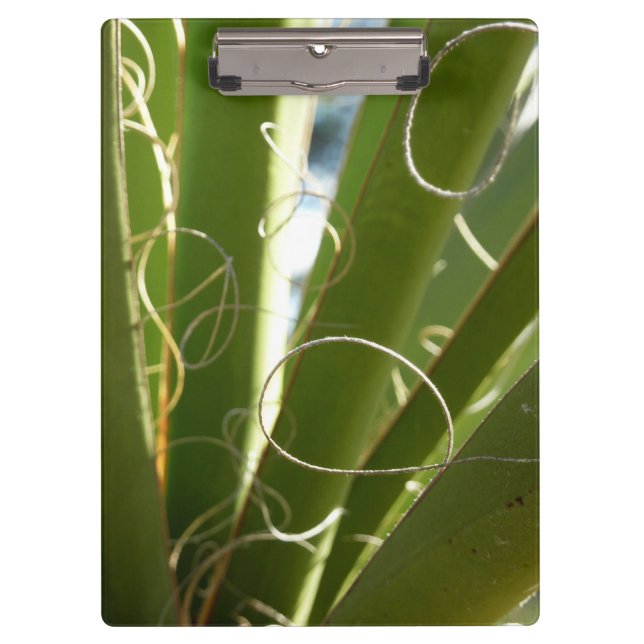 Yucca Verlasse grüne Naturfotografie Klemmbrett (Vorderseite)