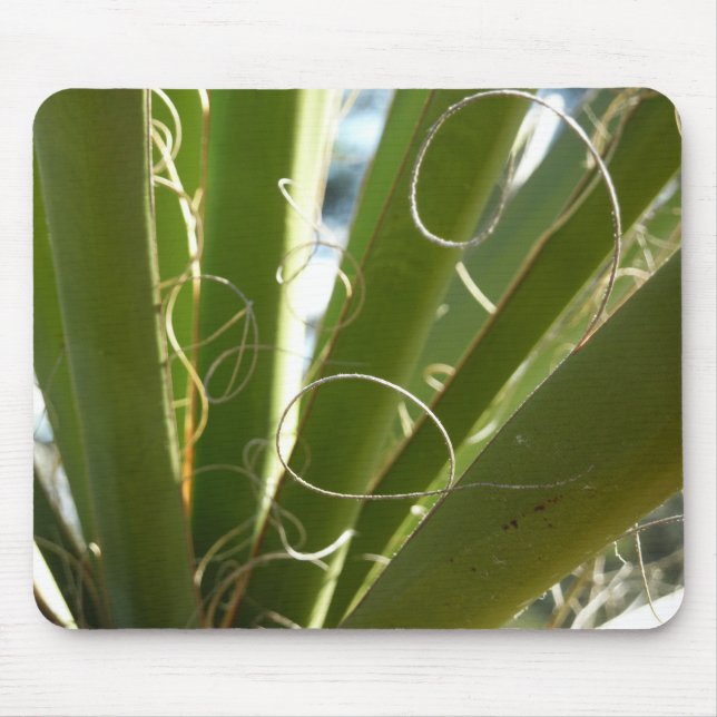 Yucca Verlasse grüne Naturfotografie Mousepad (Vorne)