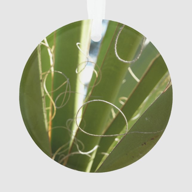 Yucca Verlasse grüne Naturfotografie Ornament (Rückseite)