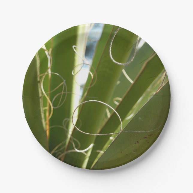 Yucca Verlasse grüne Naturfotografie Pappteller (Vorderseite)