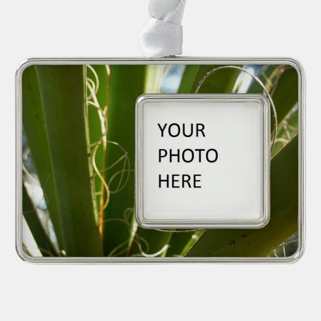 Yucca Verlasse grüne Naturfotografie Rahmen-Ornament Silber (Vorderseite)