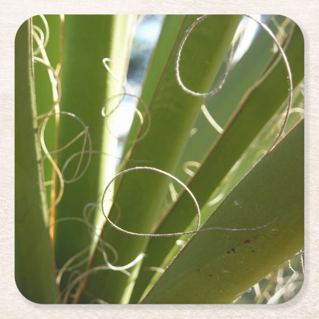 Yucca Verlasse grüne Naturfotografie Rechteckiger Pappuntersetzer (Vorderseite)