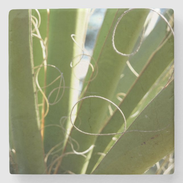 Yucca Verlasse grüne Naturfotografie Steinuntersetzer (Vorderseite)