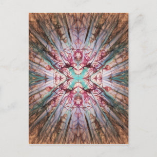 Yucca Warm Glow Postkarte
