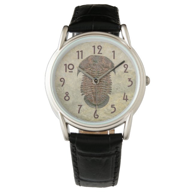 Yuepingia Fossil Trilobit Armbanduhr (Vorderseite)