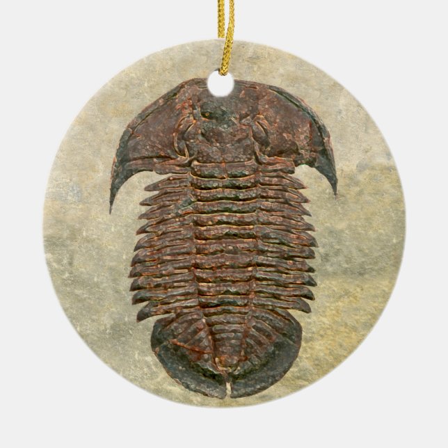 Yuepingia Fossil Trilobit Keramikornament (Vorne)