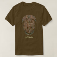 Yuepingia Fossil Trilobit