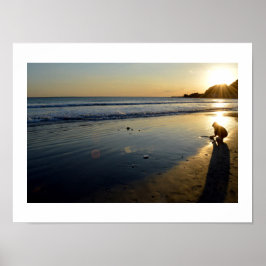 Yuigahama Beach: Kamakura, Japan Poster