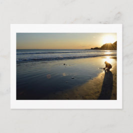 Yuigahama Beach: Kamakura, Japan Postkarte