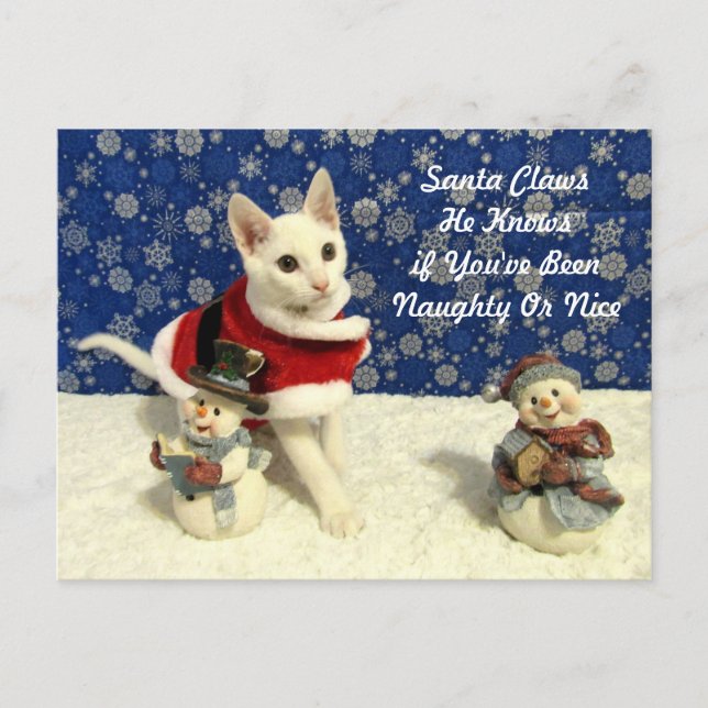 Yuki's Christmas - Cat / Kitten Weihnachten Postka (Vorderseite)