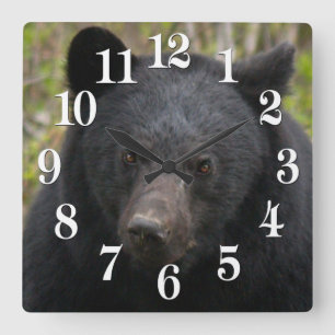 Yukon Black Bear & Wilderness Foto Art Quadratische Wanduhr