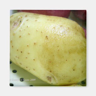 Yukon Gold Potato Magnet