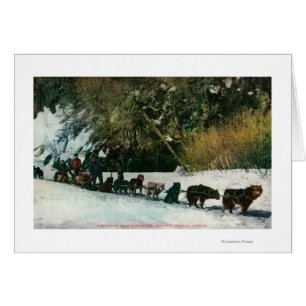Yukon-Hundeteam, das durch Alaska-Schlucht