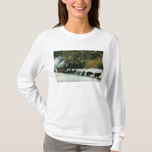 Yukon-Hundeteam, das durch Alaska-Schlucht T-Shirt