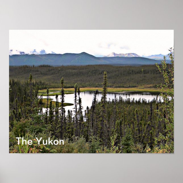 Yukon Pond Poster (Vorne)