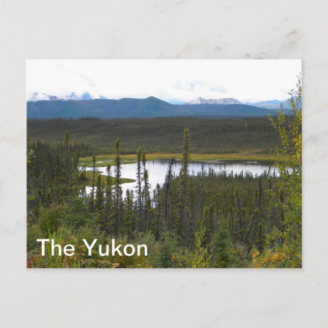 Yukon Pond Postkarte (Vorderseite)