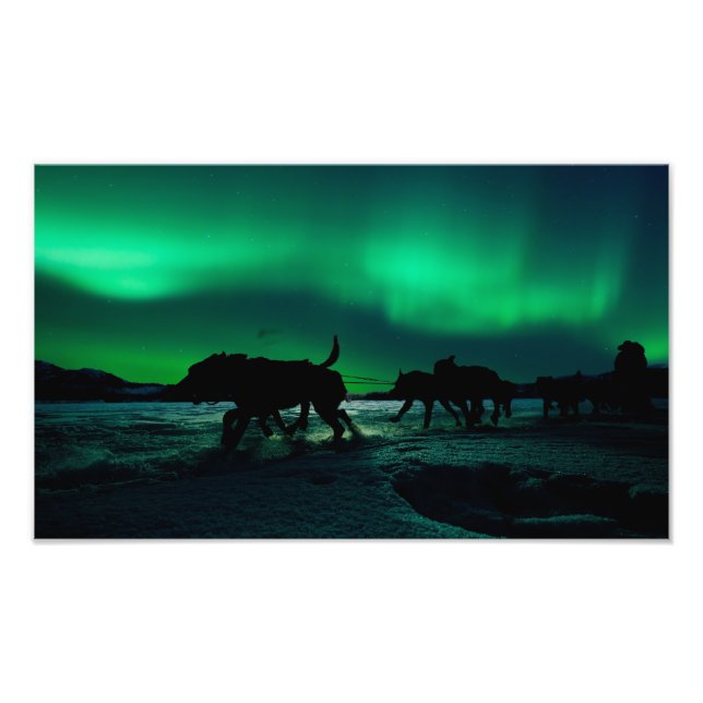 Yukon Quest Magic Fotodruck (Vorne)