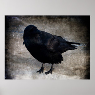 Yukon Raven Grunge Poster