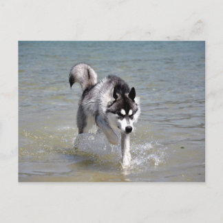 YukonWasser Postkarte