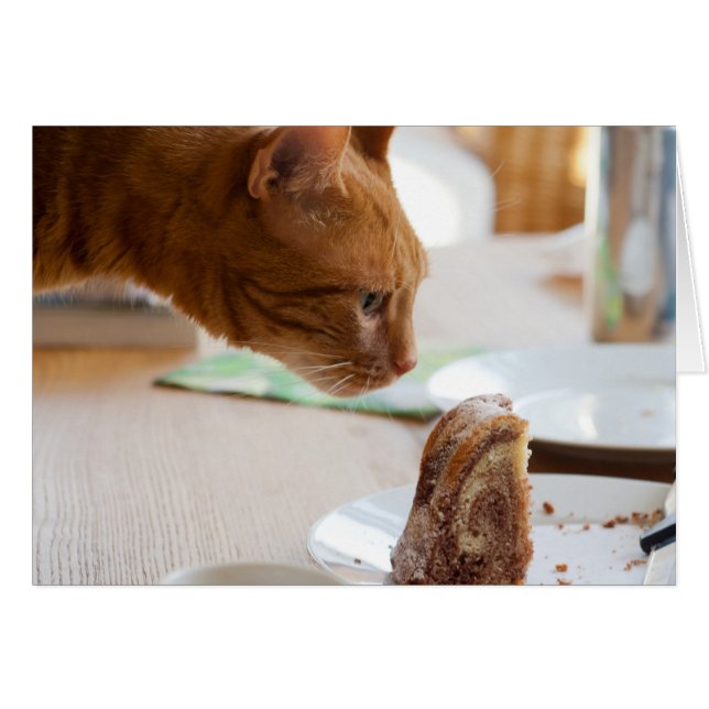 Yummy Guglhupf (Vorderseite (Horizontal))